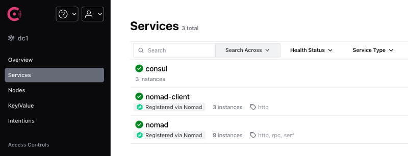 Use the Consul UI to verify Nomad servers and clients are up and running