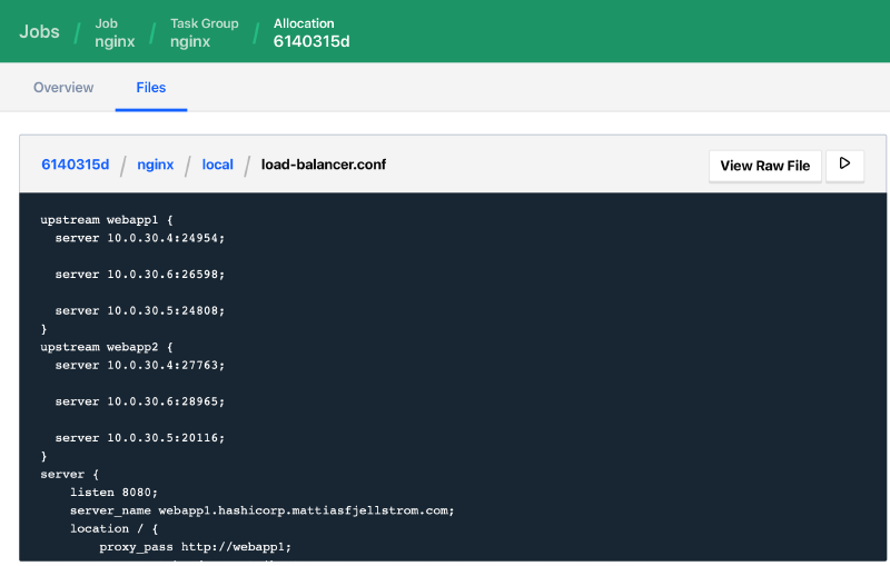 A view of the generated Nginx configuration file