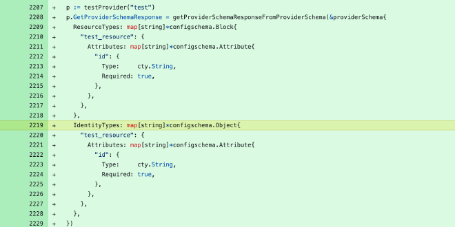 Snippet of the pull request on GitHub showing IdentityTypes for a test provider